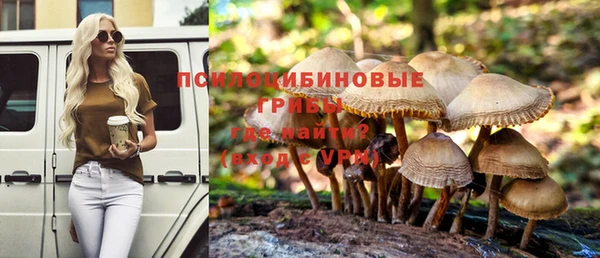 первитин Горнозаводск