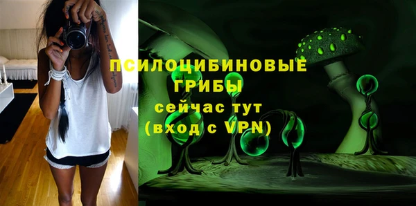 MESCALINE Горняк